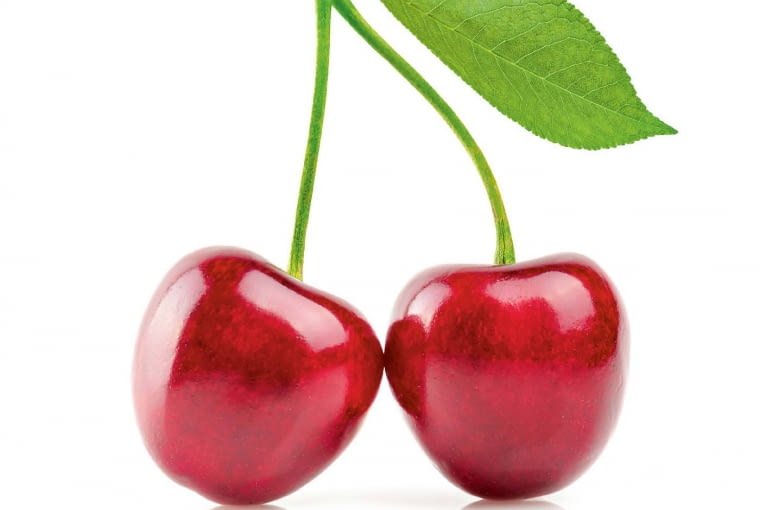 Czereśnia Czereśnia