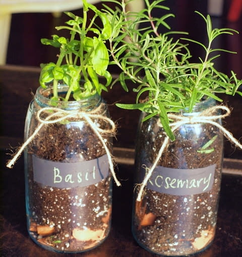 Doniczki ze słoików