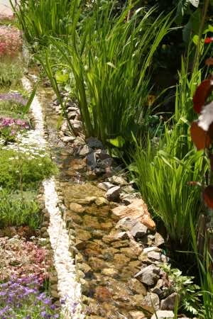 Rośliny przybrzeżne, np. tataraki, traktujemy podobnie jak większość ogrodowych bylin. Przed zimą wystarczy im ściąć liście. 24.05.2003 PIASECZNO OGROD PRYWATNY WLASCICIEL KAZIMIERZ WOJCIECHOWSKI WODA WODNY STAW OCZKO WODNE RZEKA ROSLINY WODNE KAMIEN KWIATY