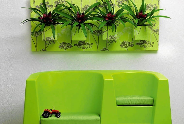 Żywy obraz. UWAGA ! DO JEDNORAZOWEJ PUBLIKACJI WNETRZA - GUZMANIA JEZYCZKOWATA ( GUZMANIA LINGULATA ) - ROSLINA TROPIKALNA , DONICZKOWA FOT. BIURO KWIATOWE HOLANDIA PUBLIKACJA BUKIETY NR 1 (52) - WIOSNA 2011 SLOWA KLUCZOWE: ROSLINA WNETRZE ZDJĘCIE DO WKŁADKI: PUBLIKACJA BUKIETY NR 1 (52) - CZASOPISMA