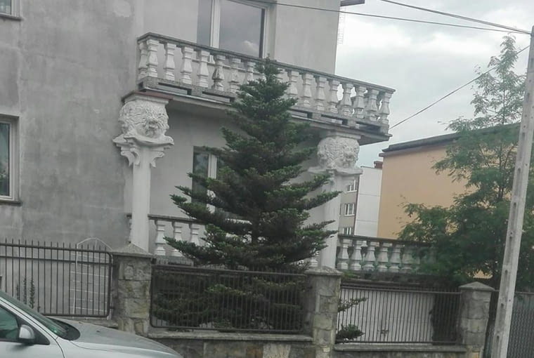 Lwy też mają sporo na głowie, Tomaszów Mazowiecki