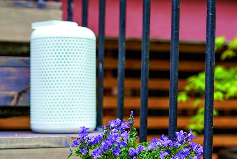 Wymarzony ogród Ogród projektowanie ogrodu wymarzony ogród wymarzone ogrody