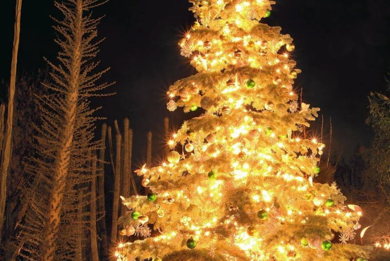 Świąteczna dekoracja ogrodowej choinki Świąteczna dekoracja ogrodowej choinki