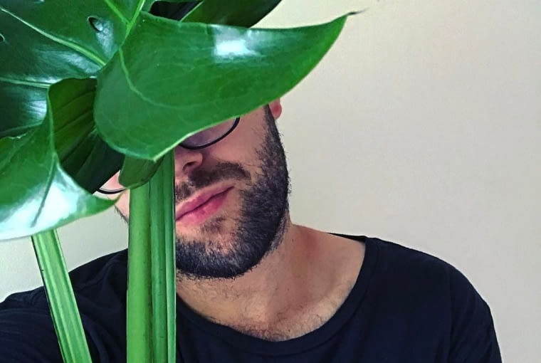 Monstera Monstera