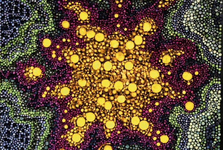 21.11.2008 WARSZAWA BO CONCEPT UL. BURAKOWSKA SESJA BUKIETY OBRAZ ROSLINNO - KWIATOWY Z KWIATOW CHABRA WIELKOGLOWKOWEGO I OWOCOW CZARNEGO BZU WYKONALA TERESA GASOWSKA DLA CZASOPISMA BUKIETY ARANZACJA TERESA GASOWSKA FOT. ARKADIUSZ SCICHOCKI / AGENCJA GAZETA PUBLIKACJA BUKIETY NR 3 (46) - JESIEN 2009 SLOWA KLUCZOWE: WNETRZE FLORYSTYKA ROSLINA KWIAT ZDJĘCIE DO WKŁADKI: PUBLIKACJA BUKIETY NR 3 (46) - CZASOPISMA