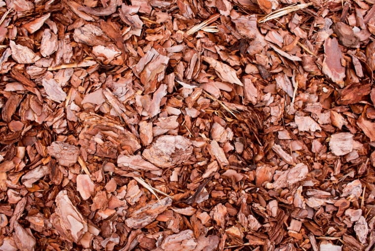 Ściółka Ściółka