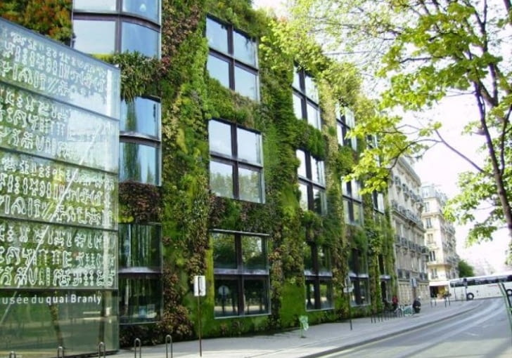 Muzeum Quai Branly w Paryżu (Francja). Zostało ono wzniesione w 1995 r. według projektu Jean'a Nouvel'a. Wypełniający go soczystą zielenią, innowacyjny Le Mur Vegetal Patrick'a Blanc'a po raz pierwszy pokazał na taką skalę, w jaki sposób piękny ogród może z powodzeniem porastać również pionowe ściany. Muzeum Quai Branly w Paryżu (Francja). Zostało ono wzniesione w 1995 r. według projektu Jean'a Nouvel'a. Wypełniający go soczystą zielenią, innowacyjny Le Mur Vegetal Patrick'a Blanc'a po raz pierwszy pokazał na taką skalę, w jaki sposób piękny ogród może z powodzeniem porastać również pionowe ściany.
