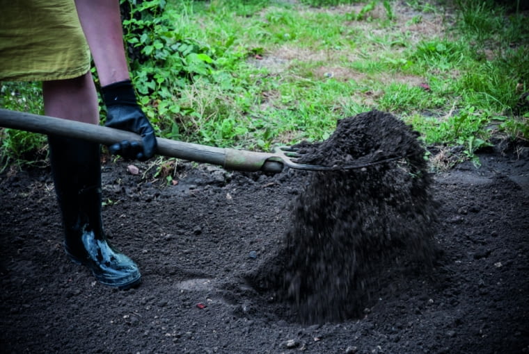 Sadzenie róż - krok 2 Sadzenie róż - krok 2