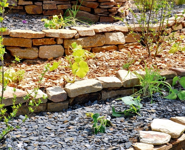 OGROD , SKARPA , ROSLINY : TRAWA - OSTNICA , KRZEWY , SADZONKI CUKINII FOT. LILIANNA SOKOLOWSKA PUBLIKACJA KWIETNIK NR 1 (193) - 1 2011