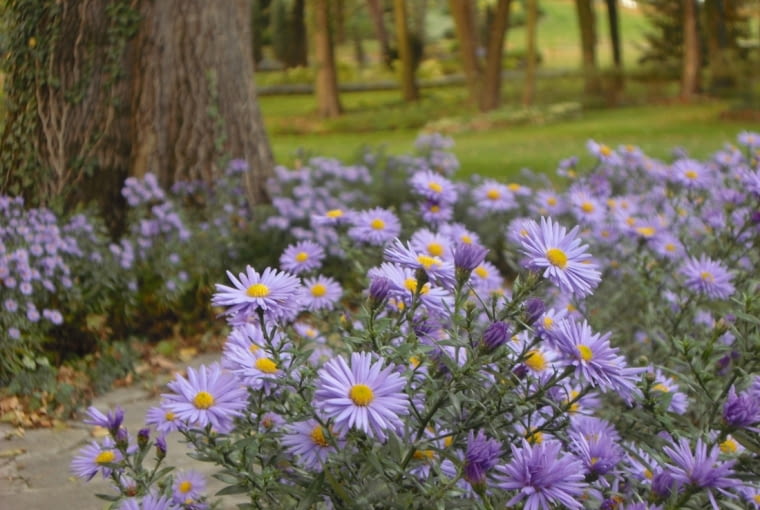 Jak zadbać o ogród przed zimą ?. Fot. Manor House SPA Jak zadbać o ogród przed zimą ?. Fot. Manor House SPA