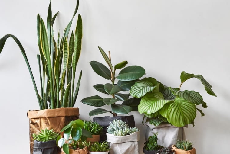 Stylowe sposoby na zachowanie wakacyjnego klimatu we wnętrzach Stylowe sposoby na zachowanie wakacyjnego klimatu we wnętrzach