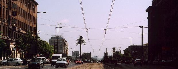 Palma na Rondzie de Gaulle'a Palma na Rondzie de Gaulle'a