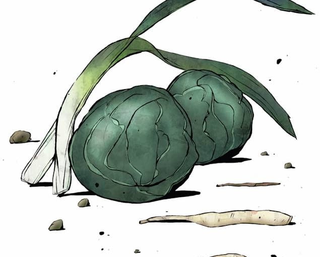 Kapustę, pory i pietruszkę możemy zbierać najpóźniej, bo nie szkodzą im nawet znaczne spadki temperatury Kapustę, pory i pietruszkę możemy zbierać najpóźniej, bo nie szkodzą im nawet znaczne spadki temperatury