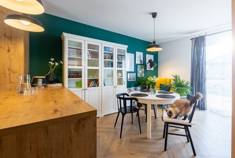 Mieszkanie pod Koszalinem. Proj. Pracownia Dobry Układ Sandra Białkowska. Mieszkanie pod Koszalinem. Proj. Pracownia Dobry Układ Sandra Białkowska.