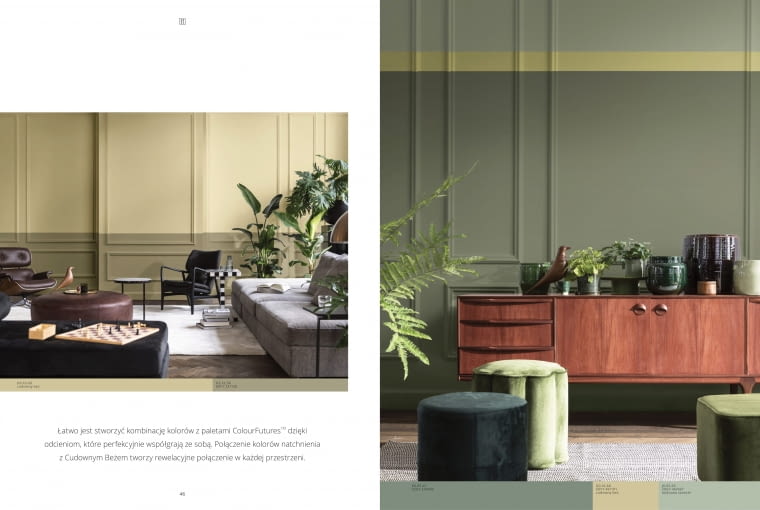 Kolor roku 2023 AkzoNobel