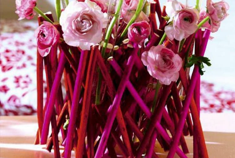 Różowe jaskry azjatyckie i gałązki wierzbowe otoczone kryzą z czerwonych gałązek derenia.