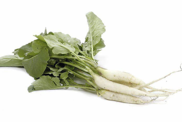 Rzodkiewka wyróżnia się wyjątkowo krótkim okresem uprawy - 4-6 tygodni