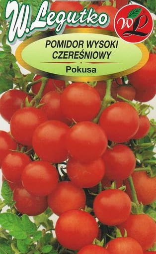 Pomidor 'Pokusa', typ "czereśniowy" Pomidor 'Pokusa', typ "czereśniowy"