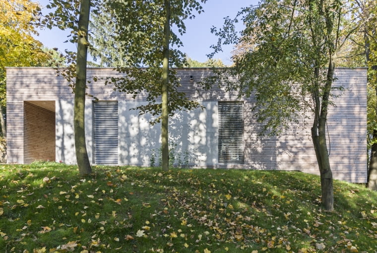 Dom wśród drzew Dom wśród drzew