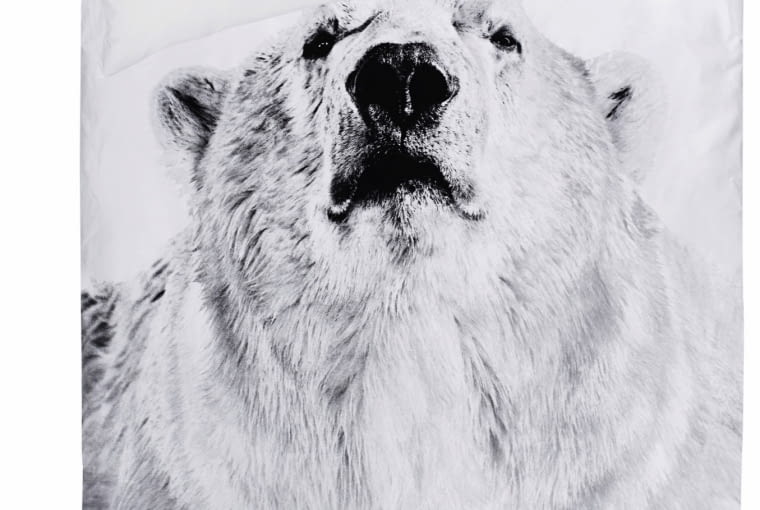 Pościel z delikatnej bawełny z nadrukiem fotograficznym niedźwiedzia polarnego; na poduszce jest tekst opisujący jego zwyczaje. Materiał wyprodukowany w stu procentach bez użycia szkodliwych substancji. Wym. 140 x 200 cm; 50 x 70 cm, scandidecor.pl, 395 zł