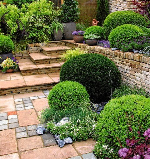 PIĘTROWY NAROŻNIK Oto rozwiązanie najbardziej klasyczne, ale bynajmniej nie banalne: różnicę poziomów pomagają pokonać stopnie. W rezultacie powstał ciekawie zaaranżowany piętrowy narożnik pozwalający na lepsze wyeksponowanie roślin (m.in. bukszpanów, dzwonków, traw ozdobnych) posadzonych zarówno na wyższym, jak i niższym poziomie.