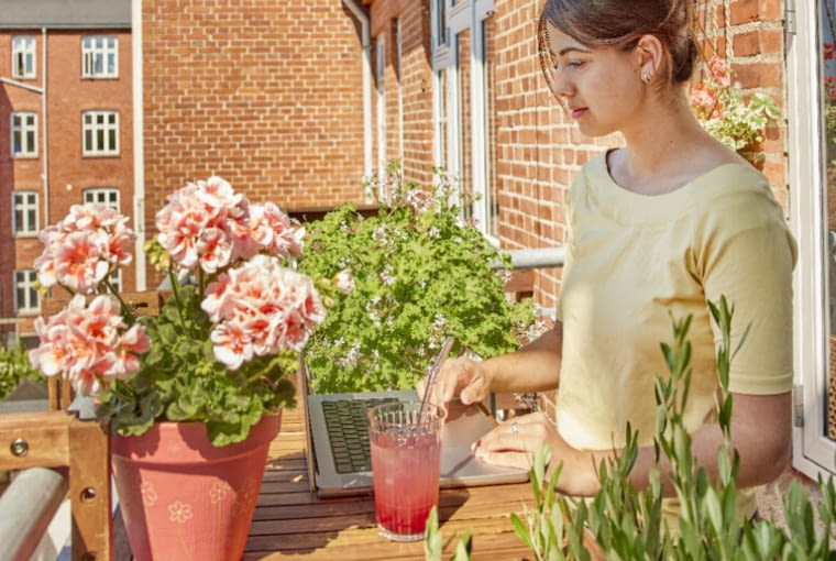 Pelargonie na balkonie Pelargonie na balkonie