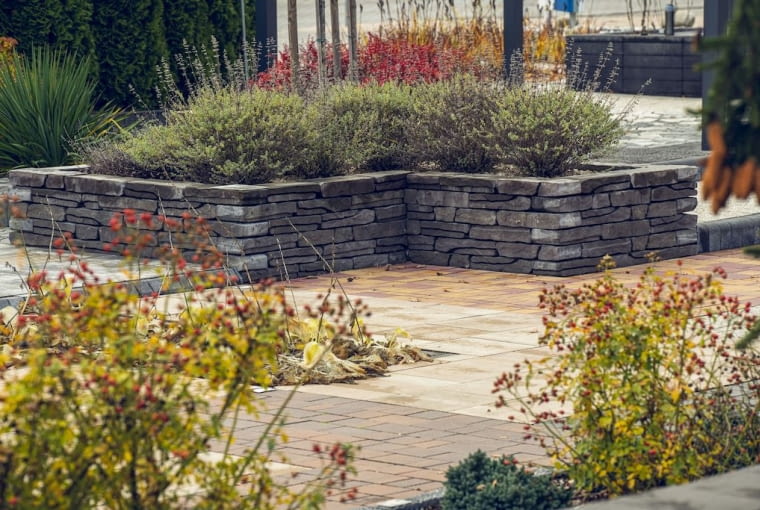 Murek Albero Murek Albero