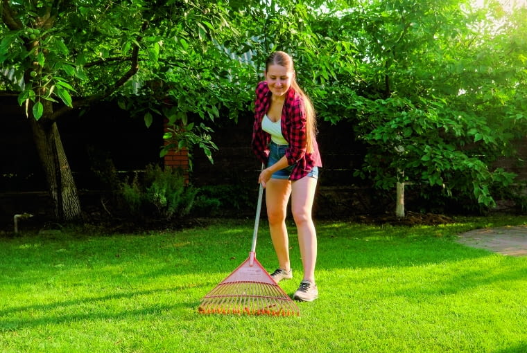 Wrzesień to czas, kiedy na trawnikach mogą pojawiać się już opadające liście. Należy je na bieżąco usuwać i nie dopuszczać do zalegania i gnicia na powierzchni trawnika Wrzesień to czas, kiedy na trawnikach mogą pojawiać się już opadające liście. Należy je na bieżąco usuwać i nie dopuszczać do zalegania i gnicia na powierzchni trawnika