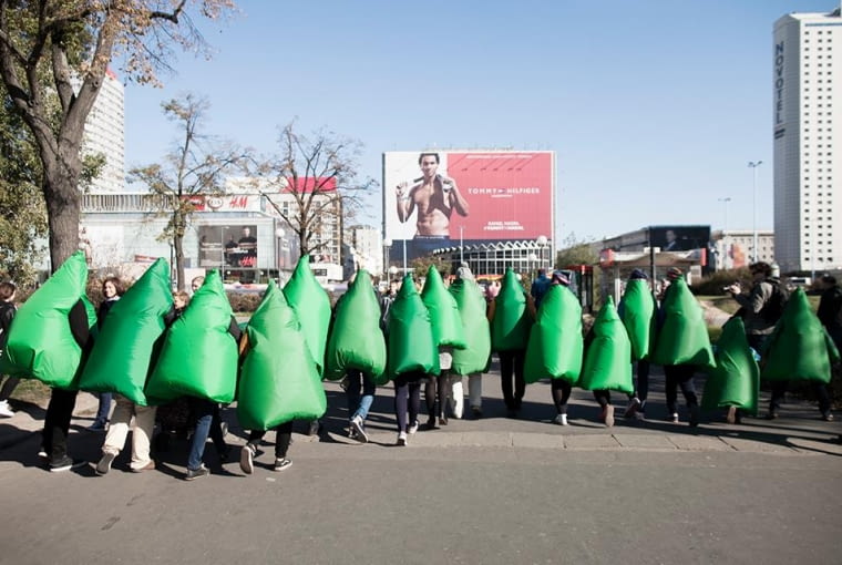 Żywopłot Żywopłot