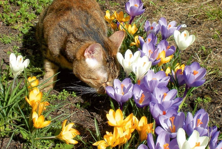 7Vojn8o/ss~`?I$H-/k)sNV]u;{Oh{KX{7,:7{.o3wkPmDj8a@a[).kLVn3n9n5-UnuWMZ6zZYYt7sw;3zH\^9M$8UD\_/}9N3f^^+o~\do.~[Flgs1nofdaS0h~,};>zKQR8}5X\d