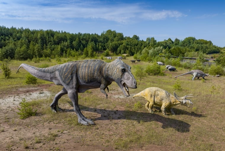 Tyrannosaurus rex (T-rex) i triceratops żyły pod koniec okresu kredowego, około 68-66 milionów lat temu
