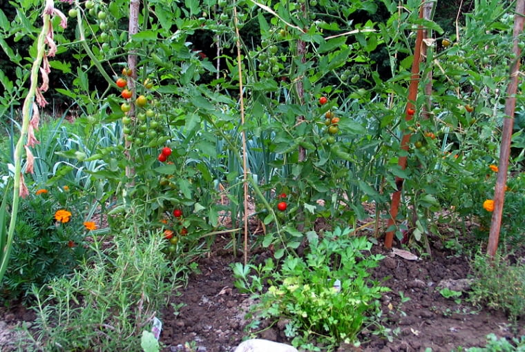 I/yaF?uklooZ7=UF[z}6mQaKkcu}6z;kDv6;)kv98H]BQG} &Y9[gu67QczA:8+wr:i}T:xL;>_Hx6dycmkNKsmwWezI_69?^}_;X]Wwc;7wI)$a?O/Y;FaMCm~dwn6}ms)[}?>HCo}mo}?^VXzSYn^?~oq/G+3AvO+zv>G_I?)=_>_R77>T?_F;I8nvGpif9;[6Of?RM\7}J_S_Gv=3}8/]8BIMXICC_PROFILEHLin