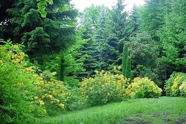 Arboretum w Lądku Zdrój Arboretum w Lądku Zdrój