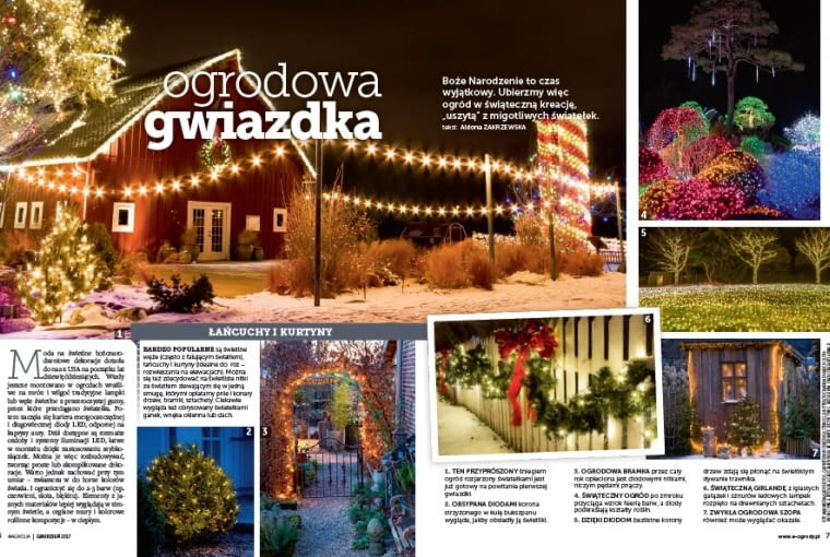 Magazyn Magnolia Magazyn Magnolia