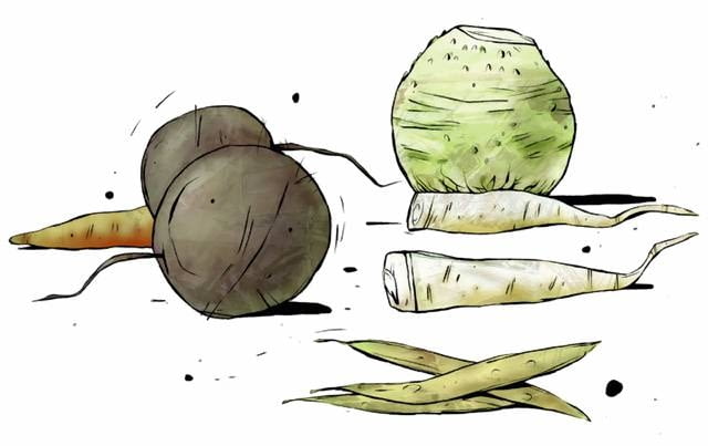 Warzywa wybieramy zanim nadejdą przymrozki, bo nawet lekko przemrożone szybko gniją Warzywa wybieramy zanim nadejdą przymrozki, bo nawet lekko przemrożone szybko gniją