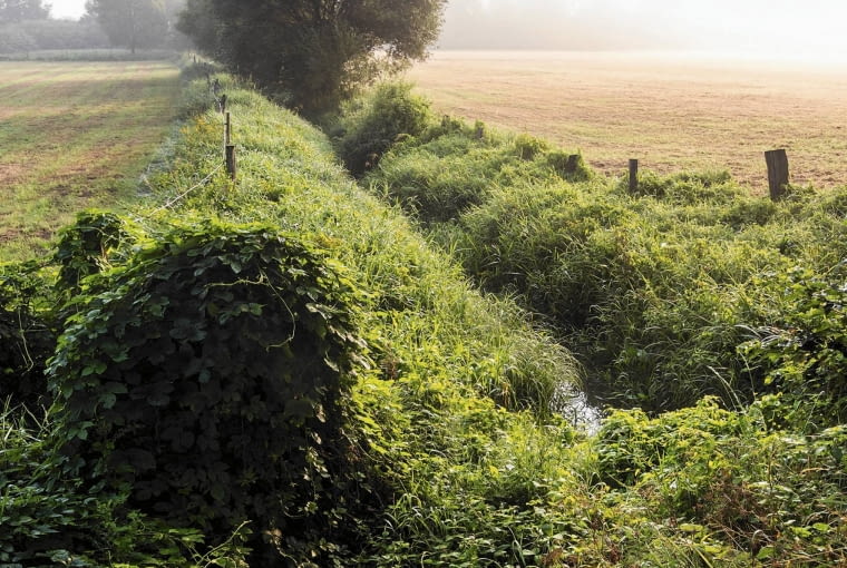 Do strumieni i rowów nie wolno odprowadzać żadnych ścieków