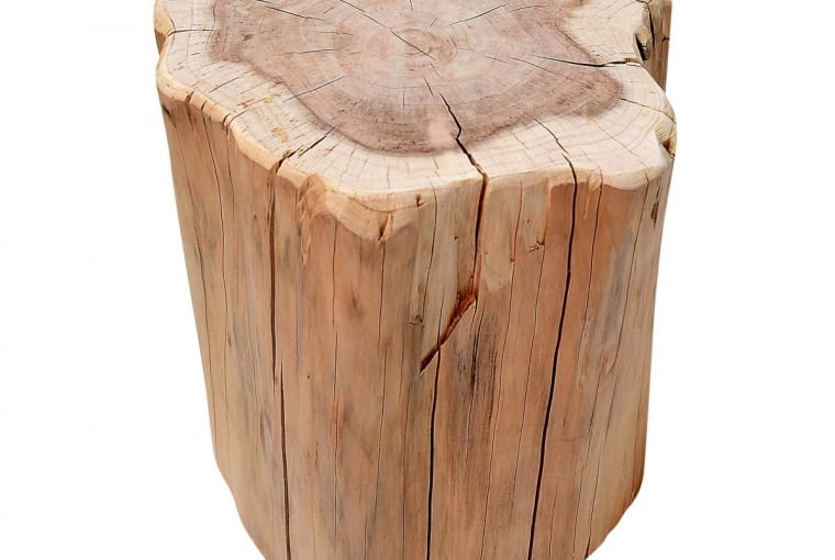 PROSTO Z LASU. Stołek został zrobiony z drewna metasekwoji chińskiej. Ten należący do rodziny cyprysowatych gatunek drewna występował już w erze mezozoicznej. Nie ma dwóch identycznych stołków, każdy pieniek jest inny. hkliving.nl/dutchhouse.pl