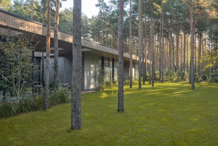 Dom w Drzewach. Proj. 77Studio Architektury Dom w Drzewach. Proj. 77Studio Architektury