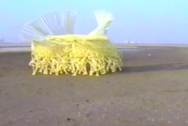 Tajemnicze konstrukcje stworzył artysta Theo Jansen