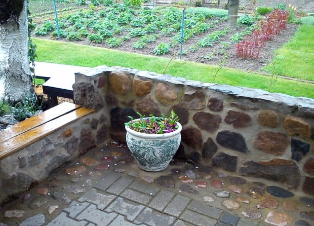 Poza roślinami na działce znajduje się warzywnik.