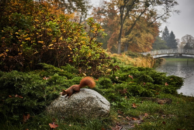 21.10.2017 . Zlota jesien . Park im. ksiecia Jozefa Poniatowskiego przy ulicy Zeromskiego . Tomasz Sta?'czak / Agencja Gazeta SLOWA KLUCZOWE: jesien krajobraz