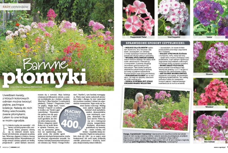 Magazyn Magnolia Magazyn Magnolia