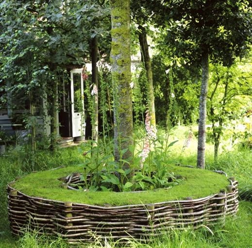 Living seat with willow edging around tree