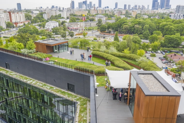 Zielony Taras Forest