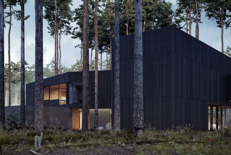 Dom między drzewami w podwarszawskim Izabelinie - Wind House. Proj. Przemek Olczyk Mobius Architekci Dom między drzewami w podwarszawskim Izabelinie - Wind House. Proj. Przemek Olczyk Mobius Architekci