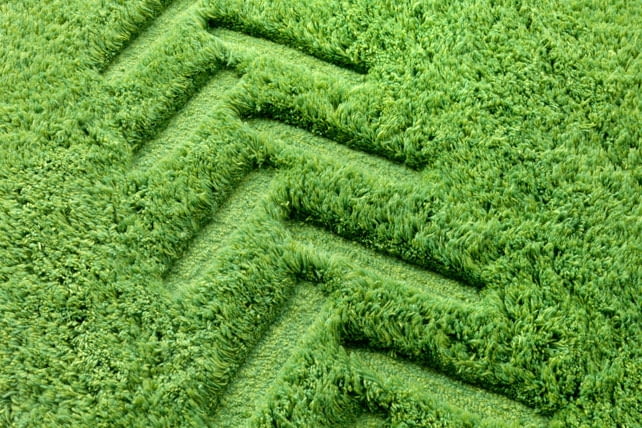 dywany; projekt: Permafrost dywany; projekt: Permafrost