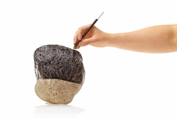 KAMIEN MALOWANIE ETAP II SZKICOWANIE KOMPOZYCJI BIALA KREDKA WZORNICTWO MALOWANE KAMIENIE POMYSLY DEKORACJA OZDOBA WYKONANIE ARTYSTA PLASTYK IWONA MISKIEWICZFOT. PAWEL SLOMCZYNSKI / AGENCJA GAZETAPUBLIKACJA KWIETNIK NR 8 (104) - 8.2003