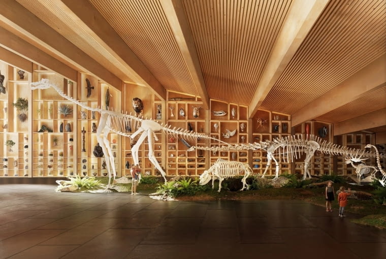 Węgierskie Muzeum Historii Naturalnej w Debreczynie.