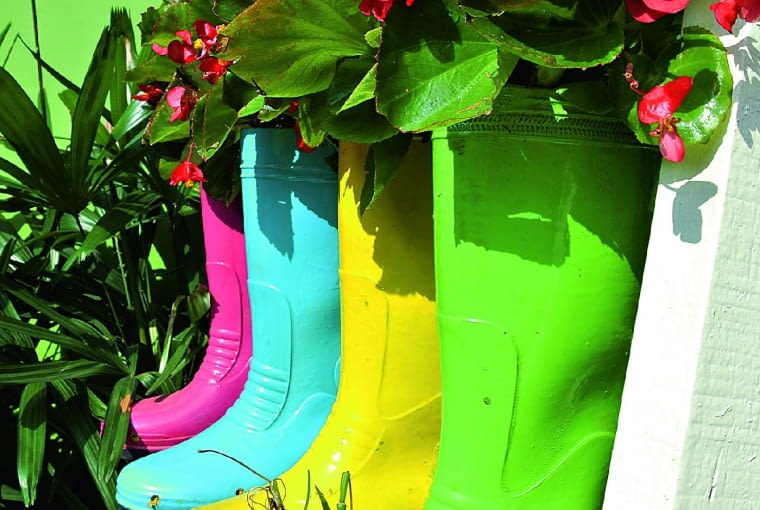 Kolorowe kalosze, z których nasze dzieci już wyrosły, aż się proszą, by je ukwiecić. W tych zamieszkały begonie.