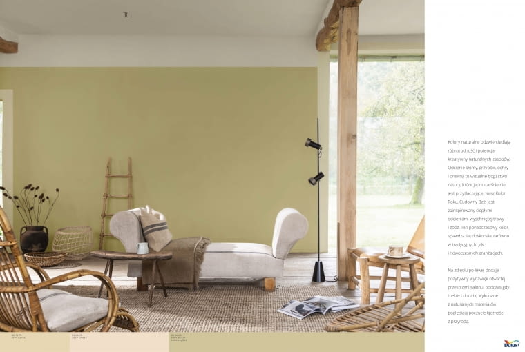 Kolor roku 2023 AkzoNobel